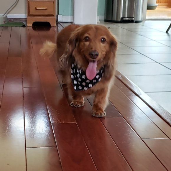 Meet your Posher, Myrna - Picture 3 of 3